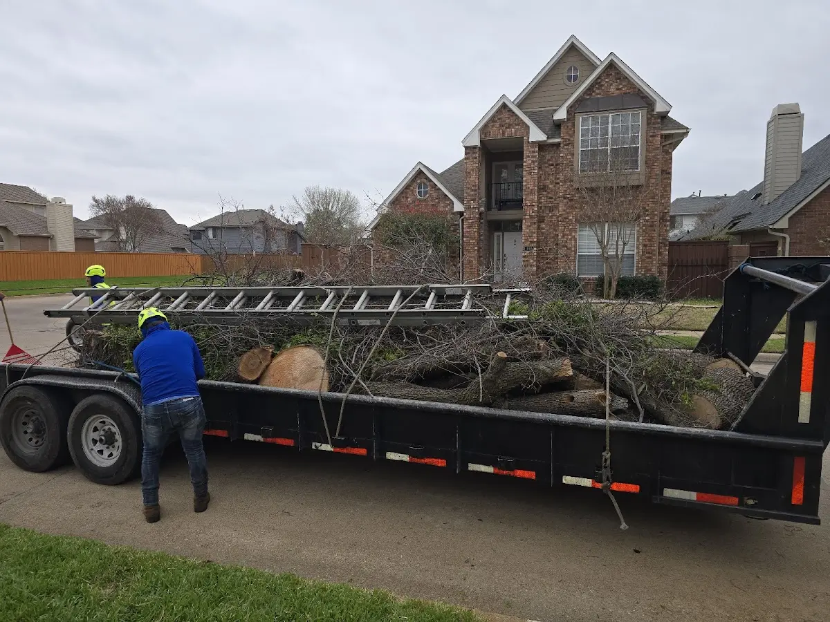 Expert Tree Pest Control with proper safety equipment in Mc Connells